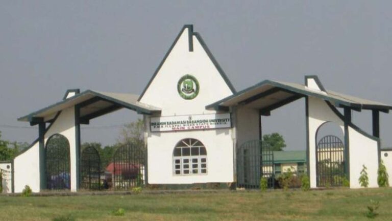 IBB varsity: Niger Assembly orders downward reviews of fees